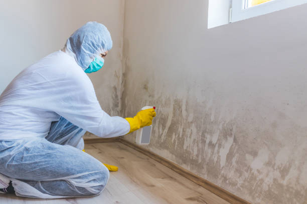 Mold Remediation specialist working in Shade Gap